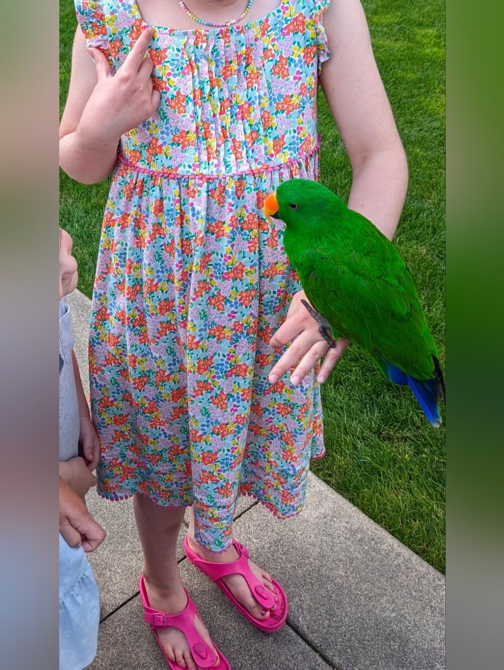 Mini Boden Dress